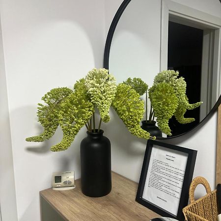 Rorada Apartament Fagaras Bagian luar foto